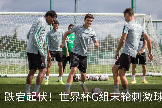 跌宕起伏！世界杯G组末轮刺激球迷心脏 伊朗狂喜过后遭打击